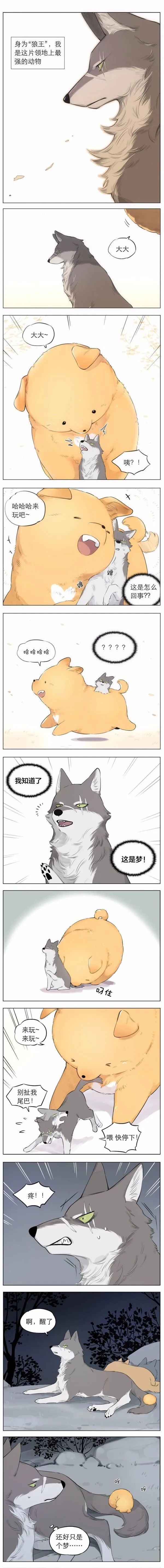 奇怪的CP又增加了 奇怪的CP又增加了