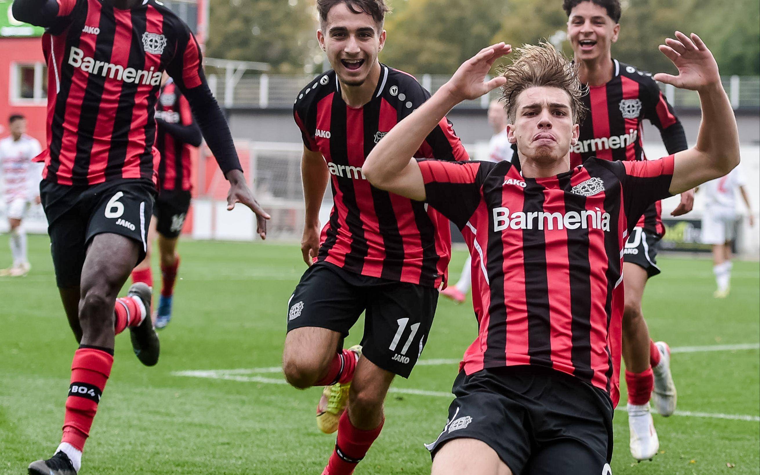 火热之战,霍芬海姆对决慕尼黑红牛 火热之战,霍芬海姆对决慕尼黑红牛