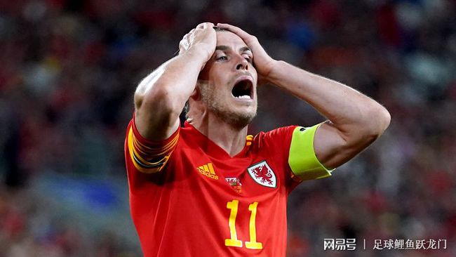 威尔士主场击败爱沙尼亚，积分上岸出线有望的简单介绍