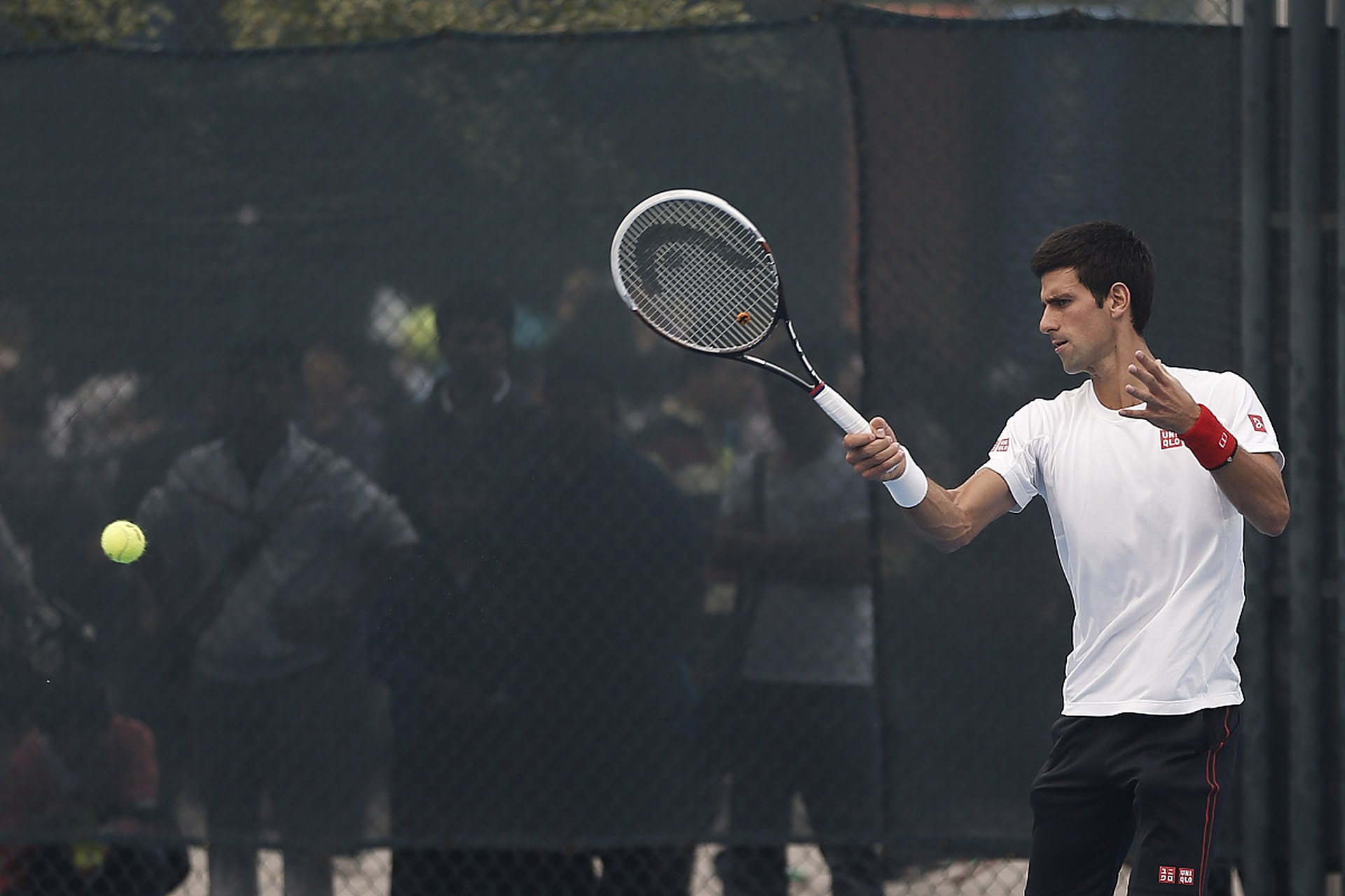 德国网球队绝杀澳大利亚网球队,德约科维奇惊艳世界的简单介绍 德国网球队绝杀澳大利亚网球队,德约科维奇惊艳世界的简单介绍