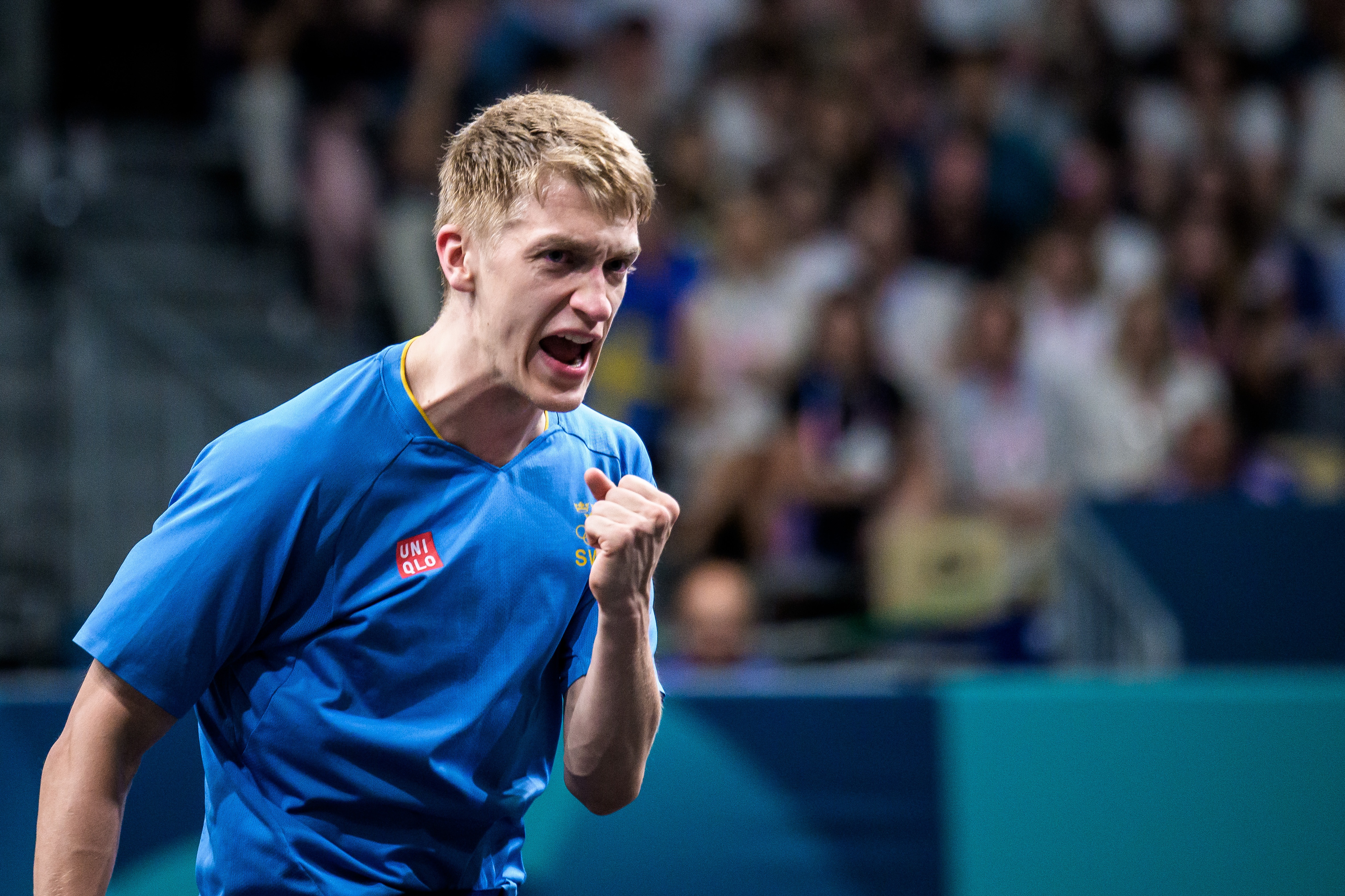 瑞典队横扫英格兰队，张本智和惊艳四座的简单介绍