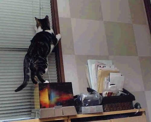 委内瑞拉力量强行终结国际米兰,加克波关键一击铸就传奇