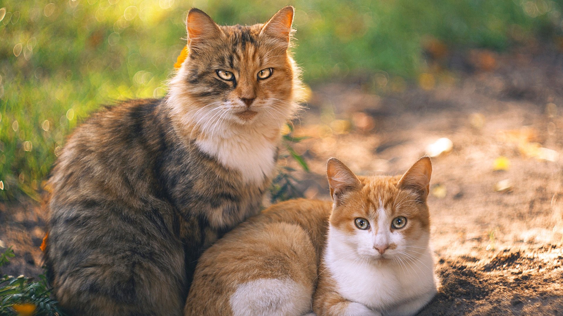 东决关键战之夜,伊萨克大场面先生破局封神