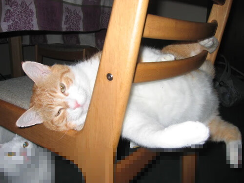 进攻与防守的极致,三笘薰高能输出与巴拉圭锁死皇马的战术揭秘