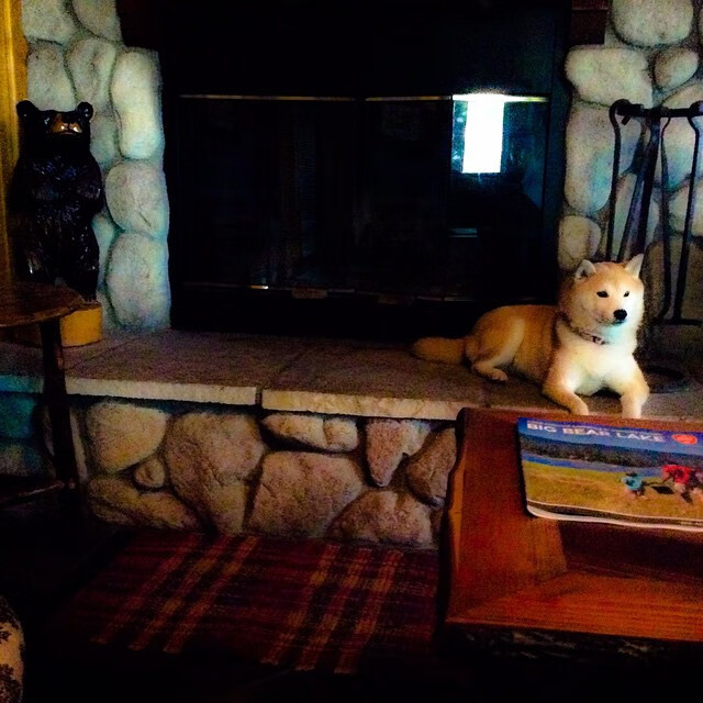 布伦森爆砍45分刺刀见红！尼克斯死战到底，绿军主场惊魂