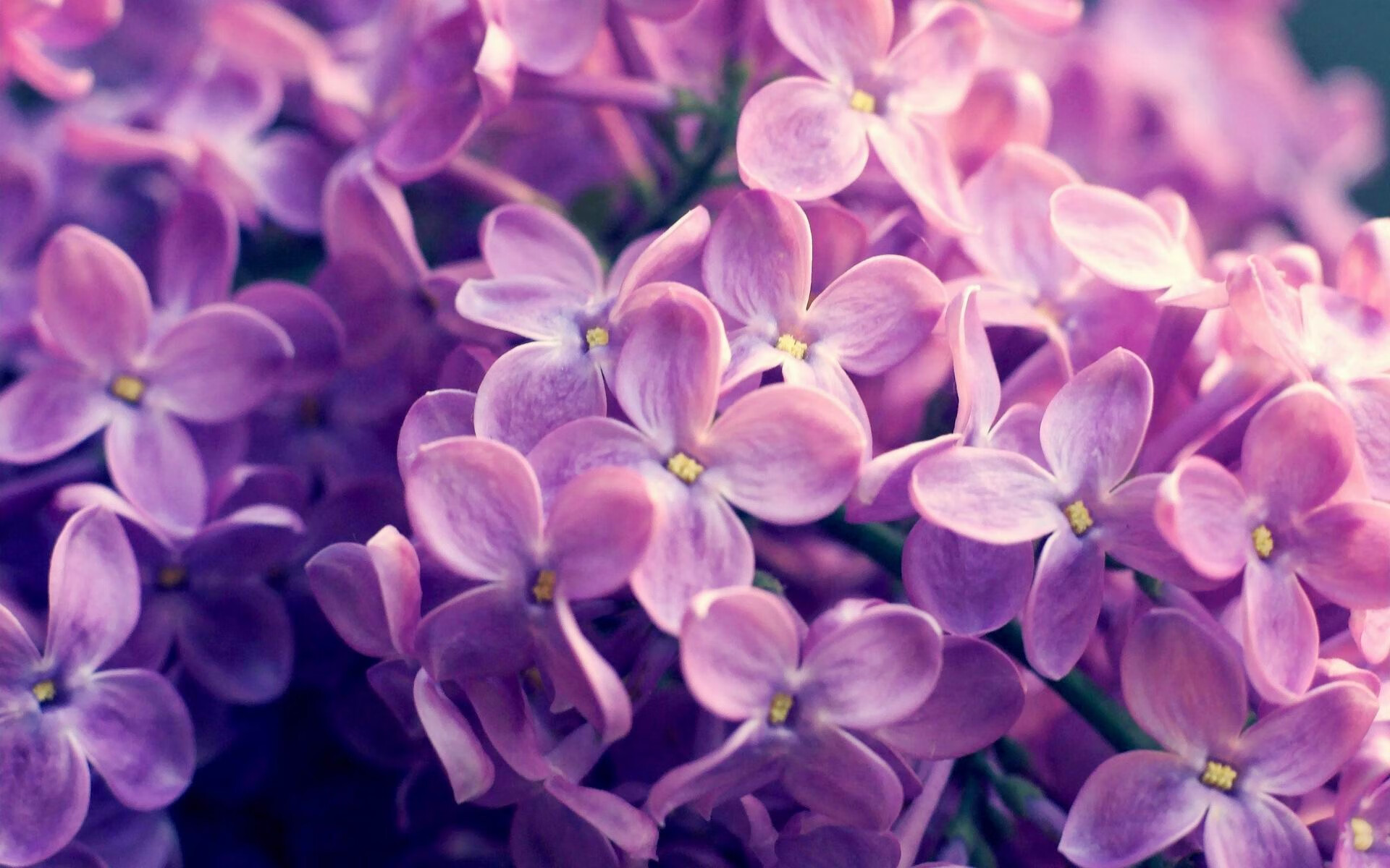 加时鏖战，帕尔默独闯龙潭！哥伦比亚绝境逆转几内亚