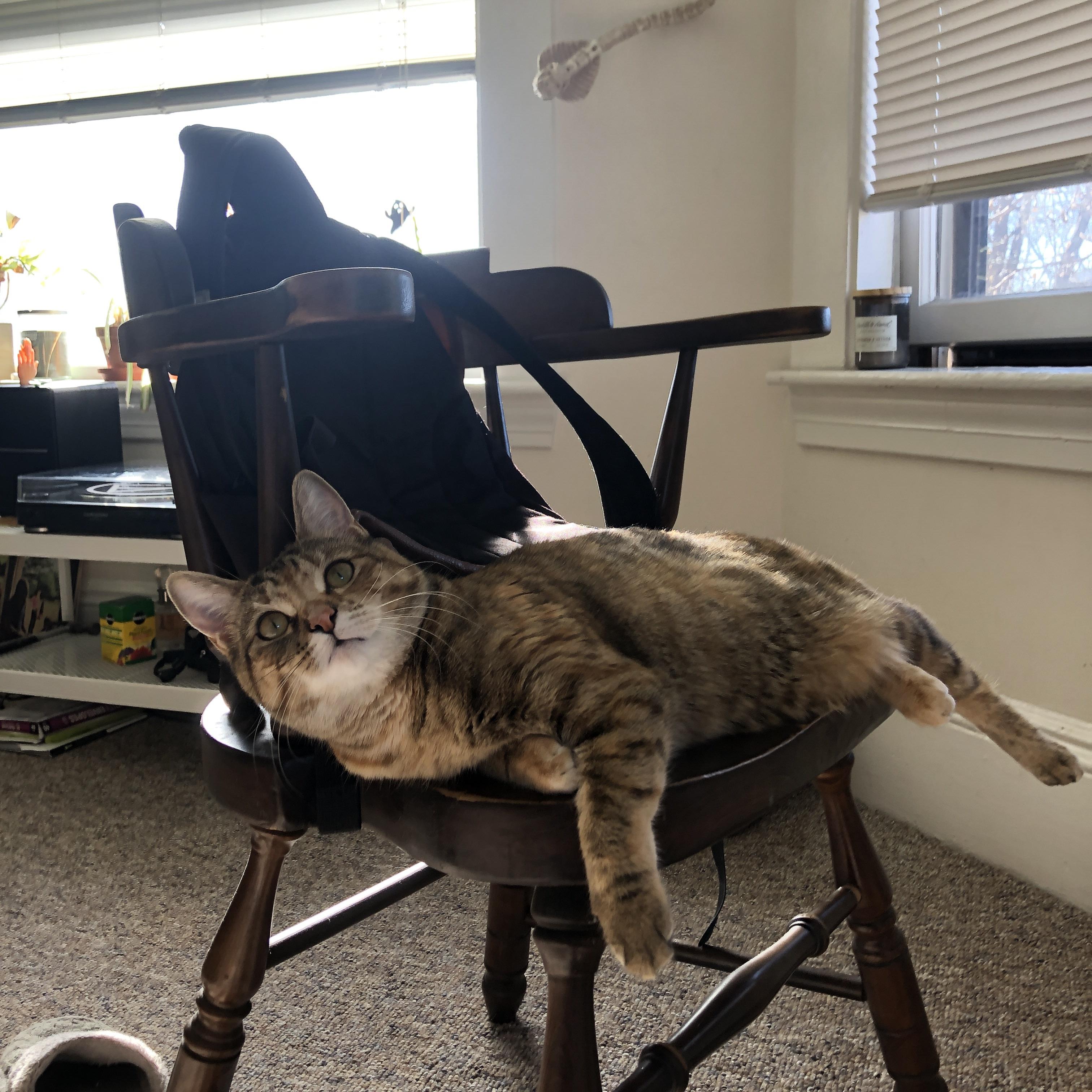 阿尔瓦雷斯决胜时刻定乾坤，切尔西点球大战从日本带走胜利